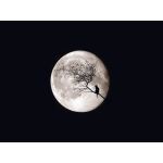 皆が幸せなら・・・