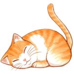 管理人(o･ω･o)ゝ