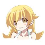 吸血おちぐさ(猫)視聴用