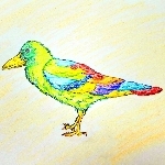 ノン*/虹のカラス