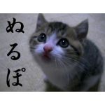 まだ何も知らない