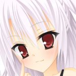 ペンギン（飛）