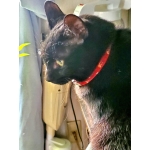 userPhoto