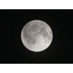 ドコサヘキサエン