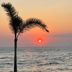 ビンタン⭐︎レモン