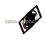 φcatas-tropheφ