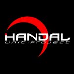 Project_HANDAL