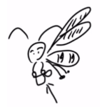 ヾ(๑╹◡╹)ﾉ