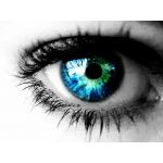 せっかちなのんびり屋