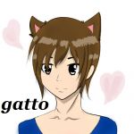 gatto