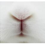 と、思うじゃん？