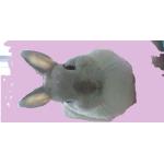 おおかみこども