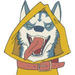 黄皮のハスキー