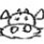 userPhoto