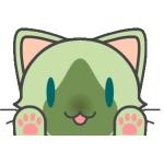 朝冬