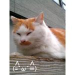 アカコ