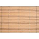 ロボロフスキー大佐