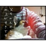 ピー夕一(ぴーゆういち)