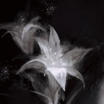 千務三（せんむ みつ）