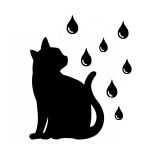 雨猫 / RainyCat