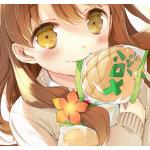 つばちん＠倉野川市民