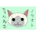 彼女がラーメンの替え玉をして下品。別れるべき？」謎の上から目線な相談に大呆れ「そのうちあなたが替え玉される」 | ニコニコニュース