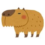 カピバラ