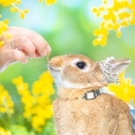 ユーザー画像