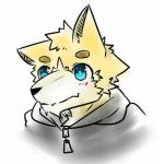 そら鮫