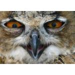 ワーカーホリック