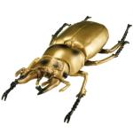 おうごんおにくわがた