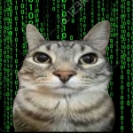 にこげん
