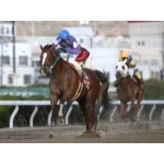 ムラオカナオミ