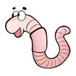 濡れ落ち葉団長