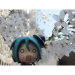 すいど～なつ♪