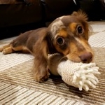 ♫☆　ハル　☆♫