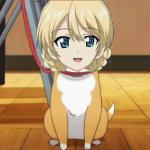 完璧で幸福な市民 : 柊