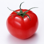 tomato7
