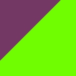 紫緑P