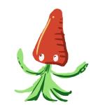 いかにんじん@広ちゃん本丸