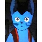 ｼﾞｮｳﾞｧﾝﾆ