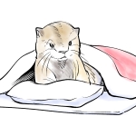 みなもとうじな