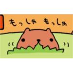 カピバラさん