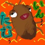 いんきんたむら