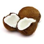 ホモなんだろ？