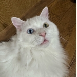 ユーザー画像