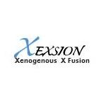 XEXSION PROJECT