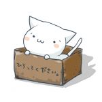 たんそくぬこ