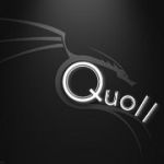 Quoll