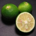 sudati